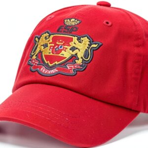 Pavo Monitor Arm Ergonomic Aluminum Desk Mount for-0